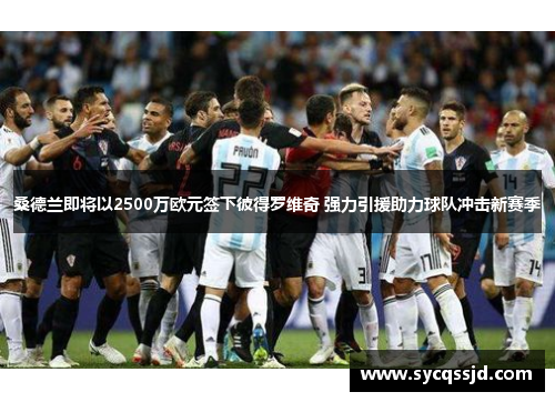 桑德兰即将以2500万欧元签下彼得罗维奇 强力引援助力球队冲击新赛季