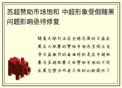 苏超赞助市场饱和 中超形象受假赌黑问题影响亟待修复